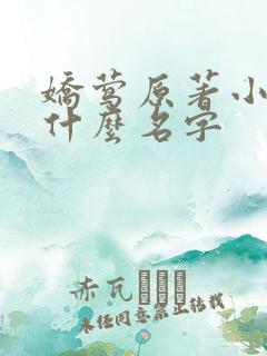 娇莺原著小说叫什么名字