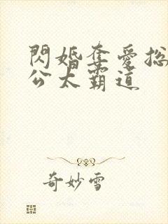 闪婚夺爱总裁老公太霸道