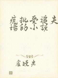 疯批受追夫火葬场的小说