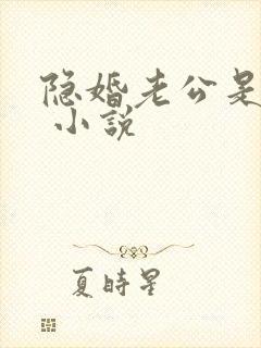 隐婚老公是大佬 小说
