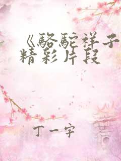 《骆驼祥子》的精彩片段