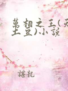 万相之王(天蚕土豆)小说