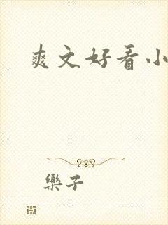 爽文好看小说