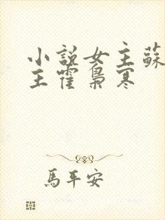 小说女主苏婉男主霍枭寒