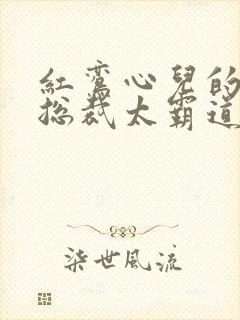 红鸾心儿的闪婚总裁太霸道