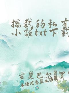 总裁的私有宝贝小说txt下载