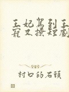 王妃驾到王爷又宠又撩短剧全集