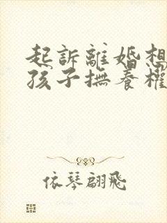 起诉离婚想争取孩子抚养权