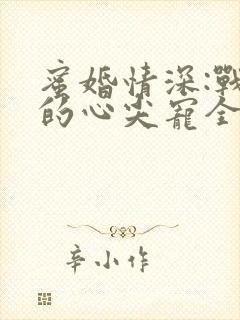 蜜婚情深:战少的心尖宠全文阅读免费