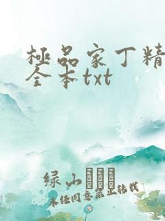 极品家丁精校版全本txt