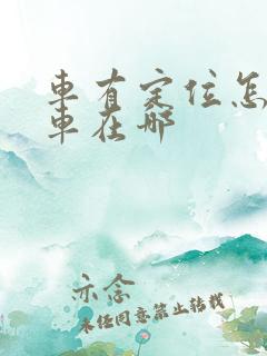 车有定位怎么查车在哪