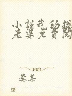 小说我的总裁大老婆免费阅读