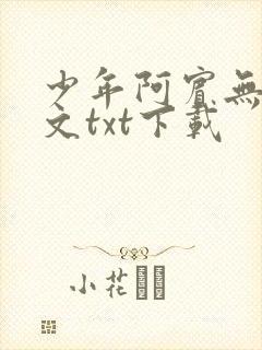 少年阿宾无删全文txt下载