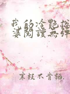 我的冷艳总裁老婆阅读无弹窗