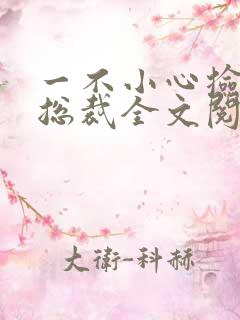 一不小心捡到个总裁全文阅读