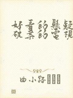 好看的悬疑推理破案的电视剧