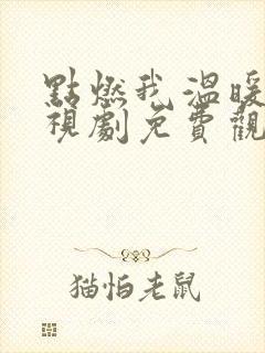 点燃我温暖你电视剧免费观看36集