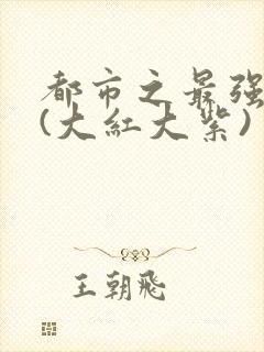 都市之最强狂兵(大红大紫)