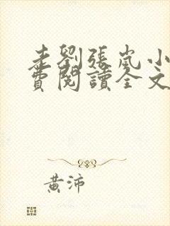 老刘张岚小说免费阅读全文最新章节