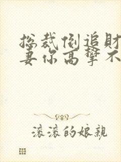 总裁倒追财阀前妻你高攀不起