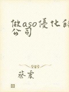 做aso优化的公司