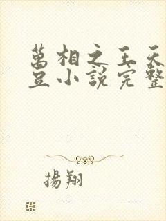 万相之王天蚕土豆小说完整精校版