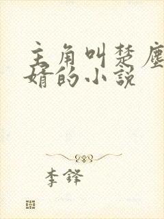 主角叫楚尘是赘婿的小说