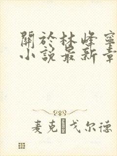 关于林峰宁欣的小说最新章节