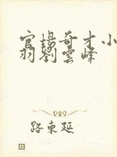 官场奇才小说陆羽刘云峰