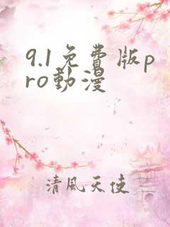 9.1免费版pro动漫