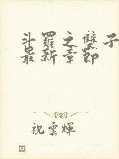 斗罗之双子斗罗最新章节