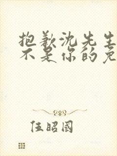 抱歉沈先生孩子不是你的免费