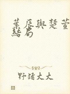 叶辰与楚萱儿的结局