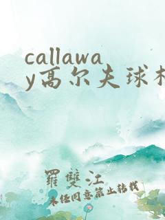 callaway高尔夫球杆