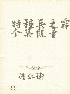 特种兵之霹雳火全集观看