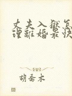 丈夫入狱怎么办理离婚最快的方法