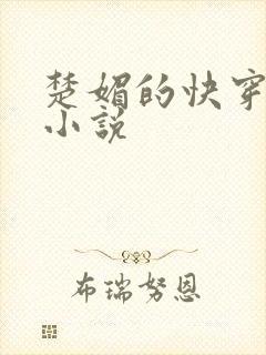 楚媚的快穿日常小说