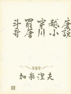 斗罗穿越唐三亲哥唐川小说