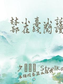 林小喜小说第一部在线阅读全文