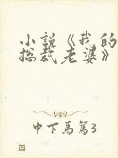 小说《我的冷艳总裁老婆》