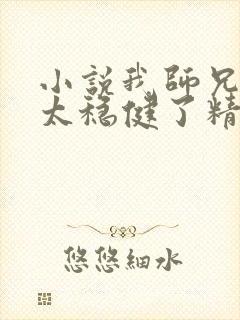 小说我师兄实在太稳健了精校版