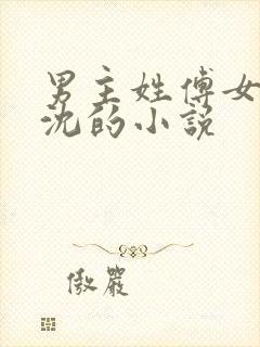 男主姓傅女主姓沈的小说