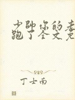 少帅你的老婆又跑了全文免费阅读