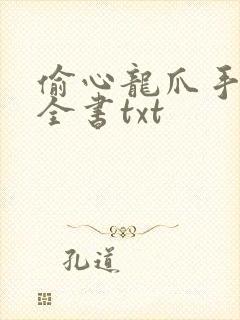 偷心龙爪手小说全书txt