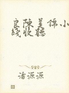 良陈美锦小说在线收听