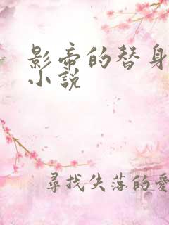 影帝的替身娇妻小说