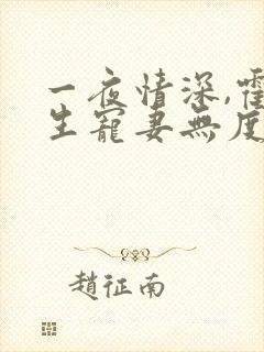 一夜情深,霍先生宠妻无度全书