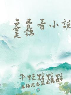 免费看小说良陈美锦