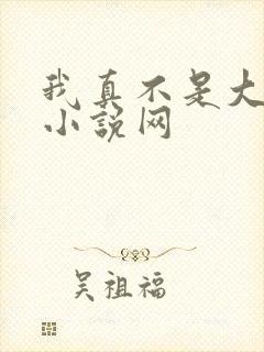 我真不是大佬 小说网