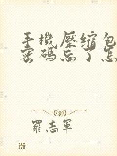 手机压缩包解压密码忘了怎么办